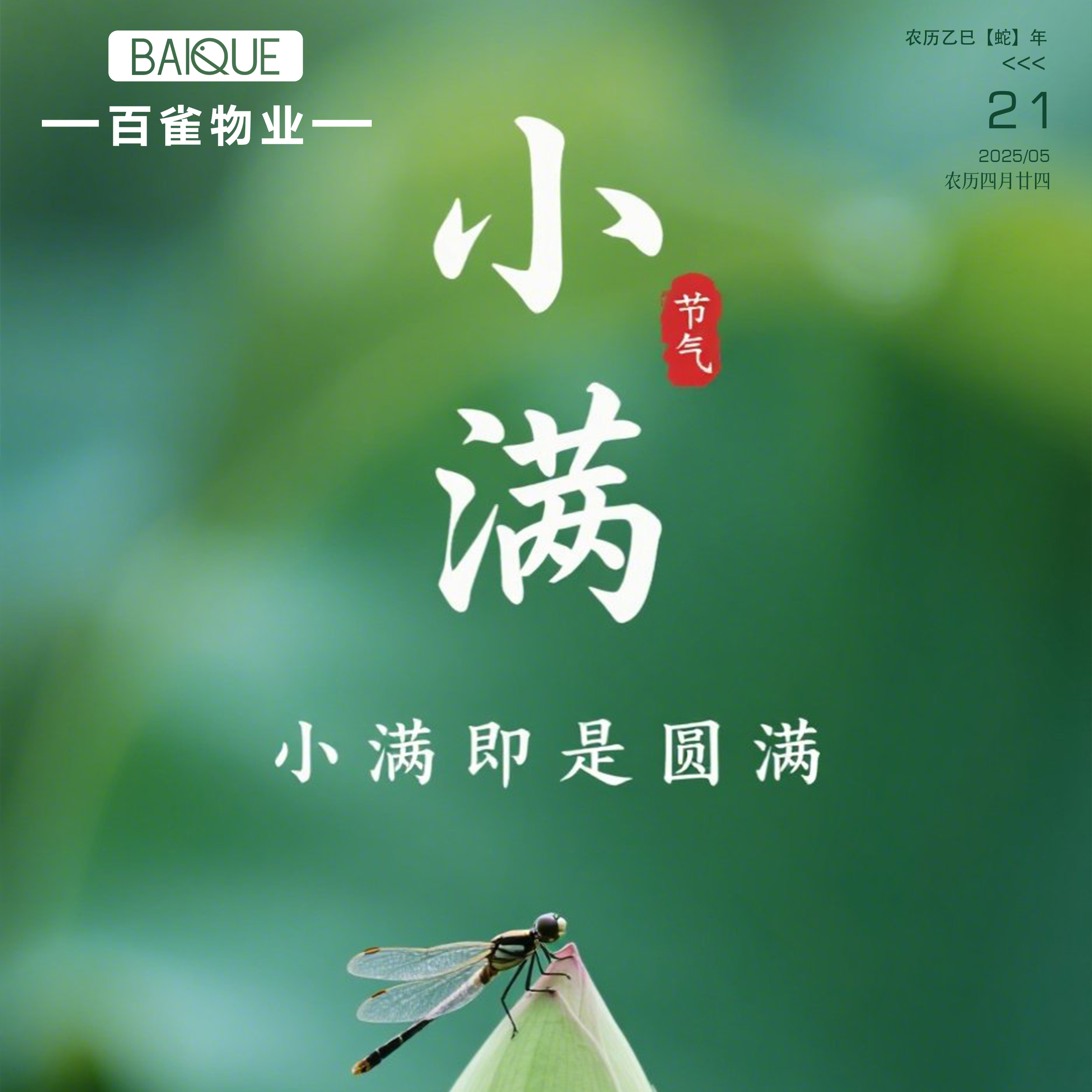 二十四节气 | 小满
